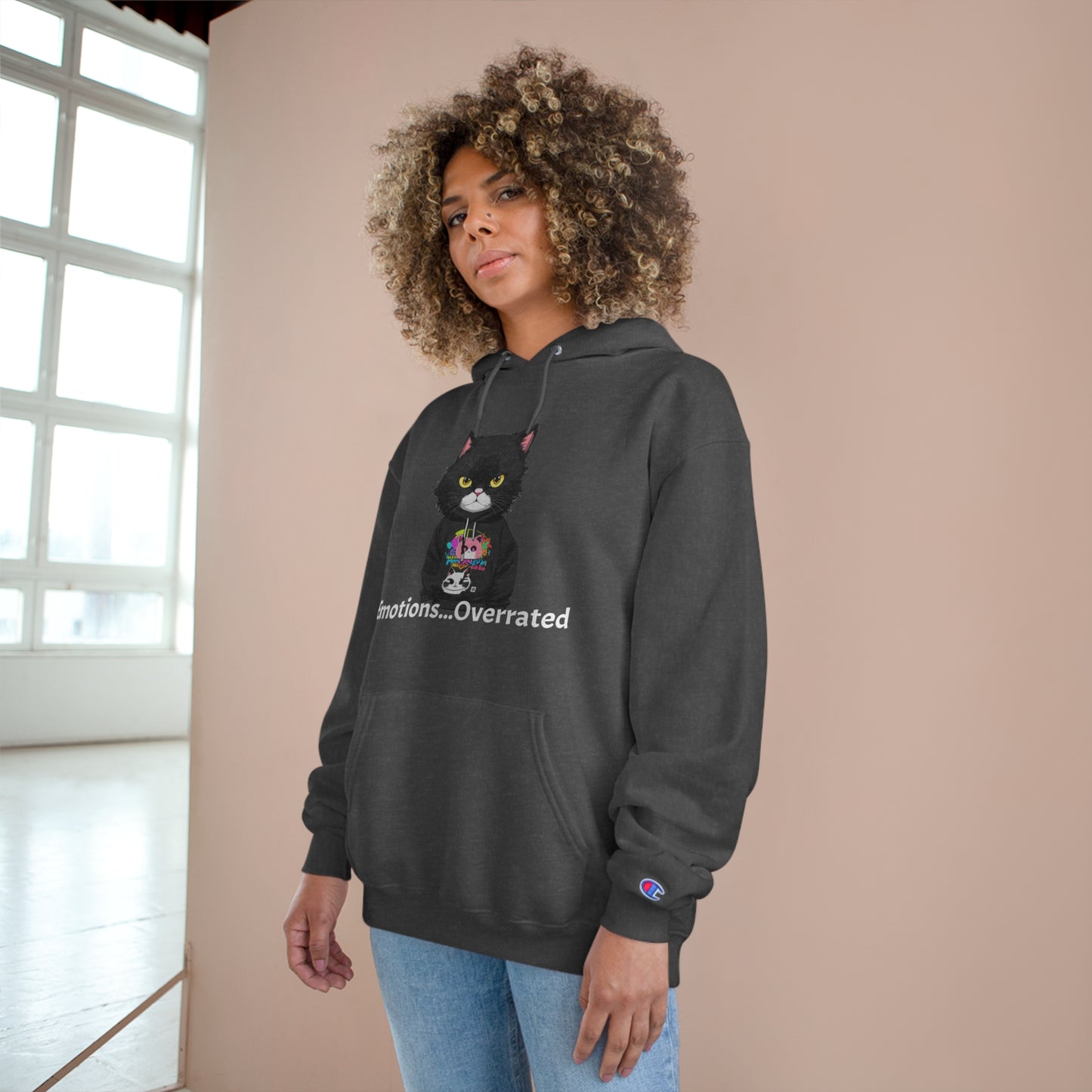 Cool Cat Sweater - Unisex Champion Hoodie