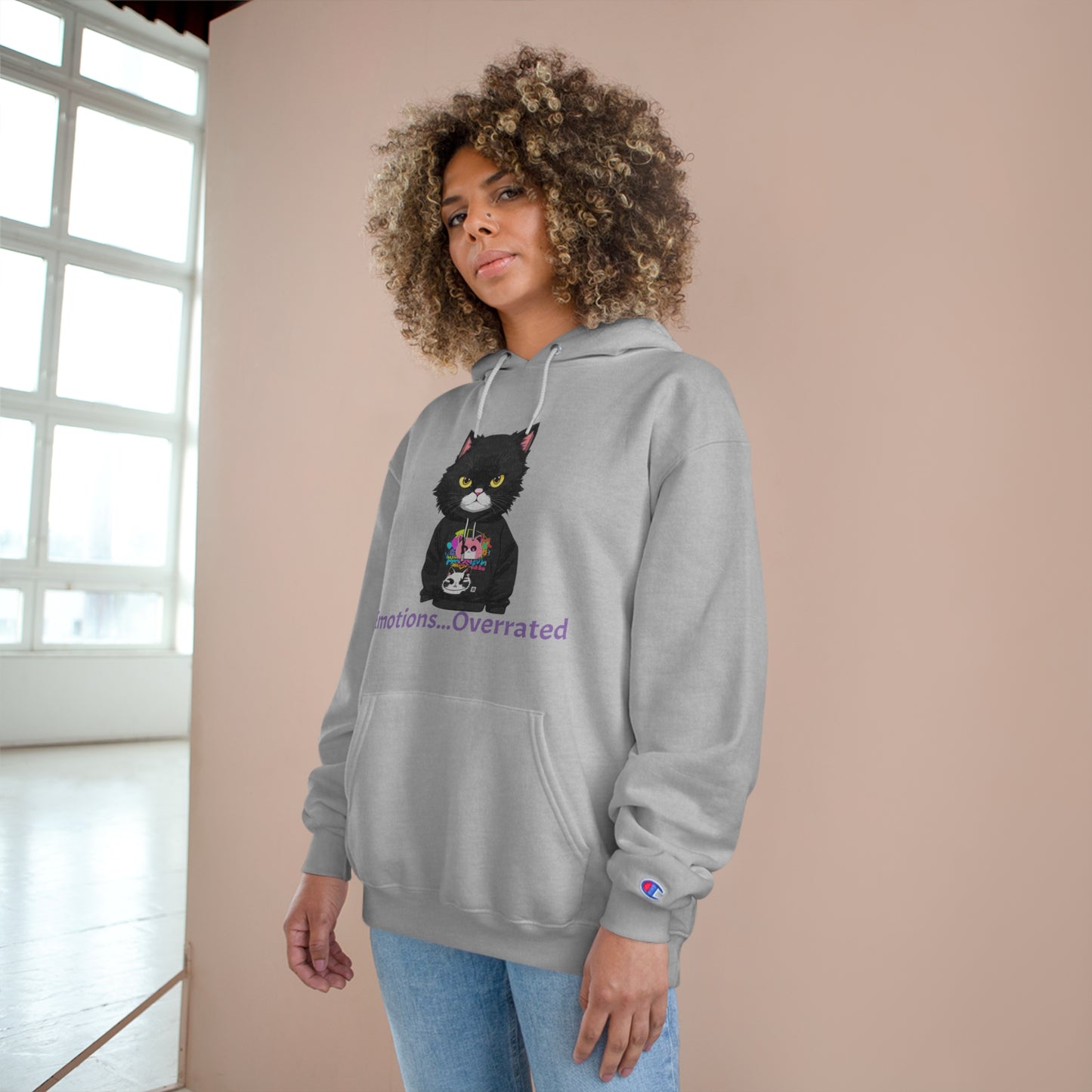 Cool Cat Sweater -  Unisex Champion Hoodie