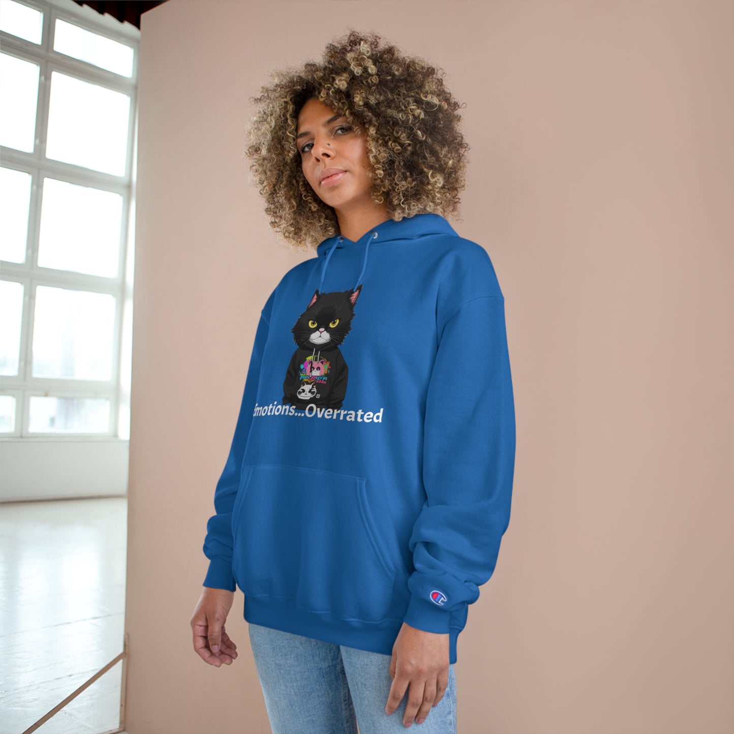 Cool Cat Sweater -  Unisex Champion Hoodie